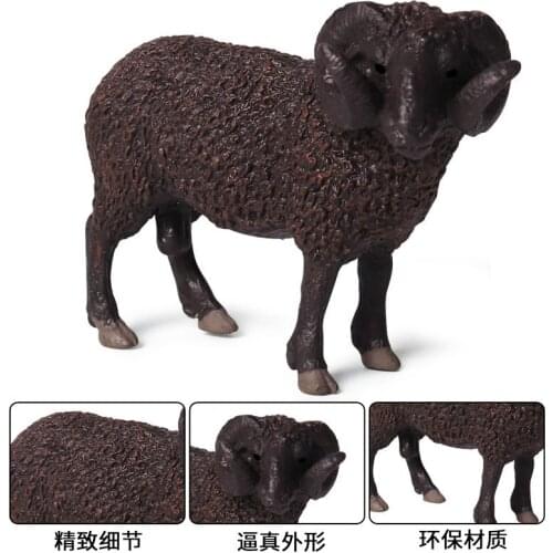 Oenux Interactive Toys