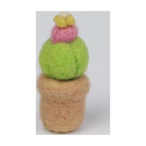 Succulent Needle Felting Kit, Craft Kits with 3 Felting Needles, Enough Wool, English Manual Suitable for Beginners (C)