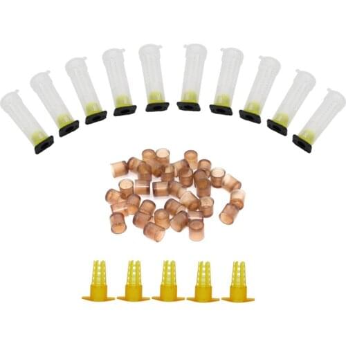 Bee queen king rearing kit system cages bees tools Plastic Queen Rearing Cupkit System Bee Beekeeping Catcher Box Cell Cups