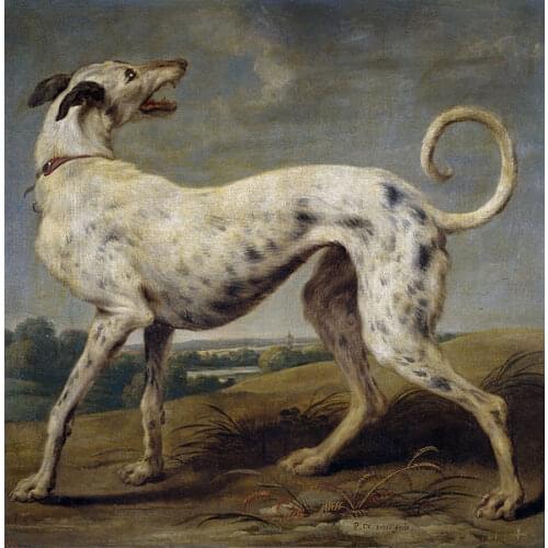 HOME living room Decorative art # Animal White Greyhound dog ART painting Paul-de Vos PRINT ART painting on canvas