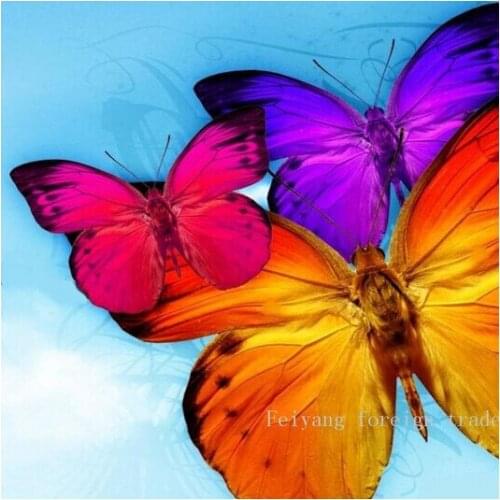 Full Diamond,diamond Embroidery Colorful Butterfly Embroidery kits,Lifelike HD images, Printing precision, Factory Outlets 20X20