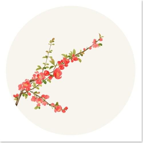 Flum plant Digital Painting Decorative Taste Living room painting Bathroom Diy by numbers hand