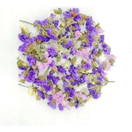 Mixed Colors Natural Dried Flowers For Resin Filling Crystal Epoxy Resin Crafts Incense Decoration Jewelry Making Accessories