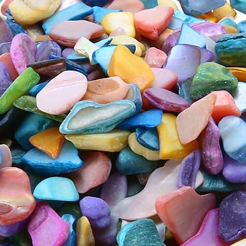 100g Durable Shell Fragments Multicolor DIY Mosaic Tiles Stylish Ornament for Home Flowerpot Fish Tank