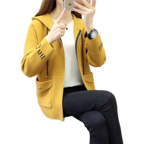 Trending Products Fashion Women Sweater Coat Hooded Top Selling Product Spring/Autumn Knit Cardigan Loose Quality Assurance 415