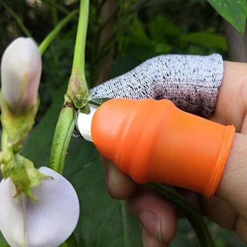 Секаторы KITPIPI China At AliExpress