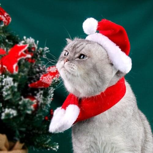 Lovely Pet Cat Dog Santa Hat and Scarf Christmas Red Holiday Costume Set