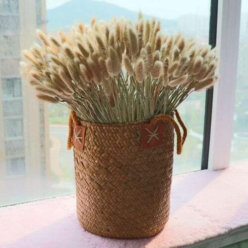 Rabbit Tail Grass, Pampas Grass, Dried Flower Bouquets, Decorations for Living Room and Bedroom, Shooting Props
