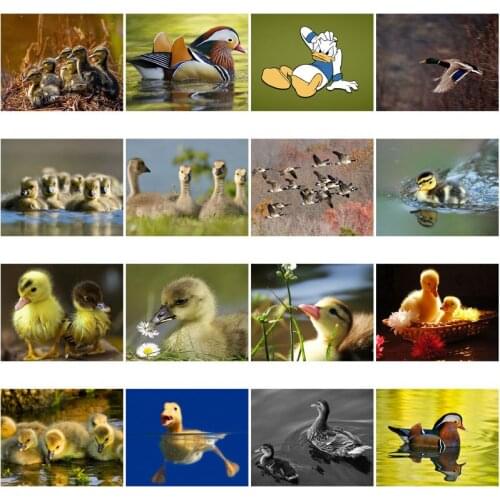 Mandarin Duck 5D Diamond Painting Animals Diamond Mosaic Duck Diy Full Round Diamond Embroidery Cross Stitch Rhinestone Art