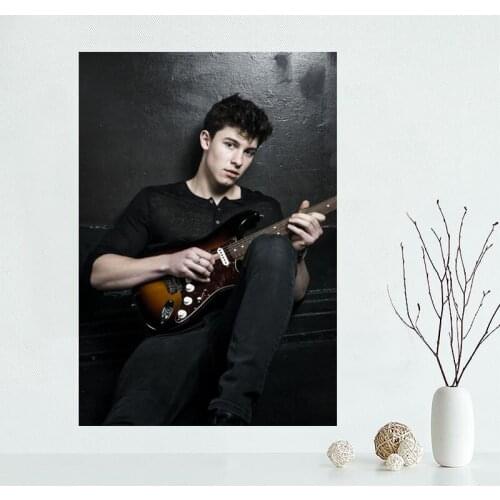 Custom Shawn Mendes Poster Art Canvas Cloth Fabric Poster Wall Poster Print Silk Fabric High Quality 3D Print