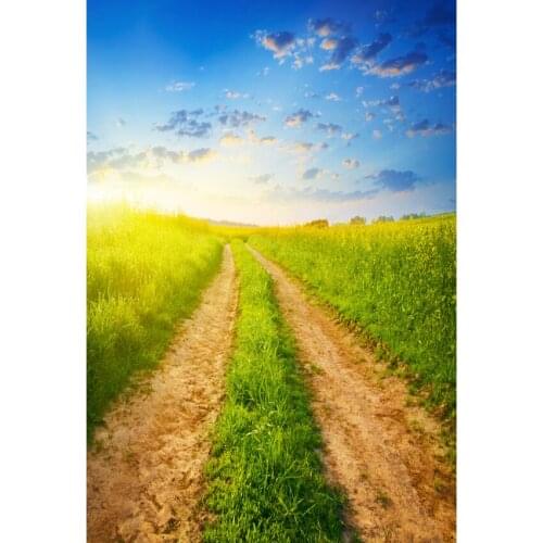 Spring rape flower photo background vinyl newborn portrait bridal photography backdrop for photo studio video accessories S-2632