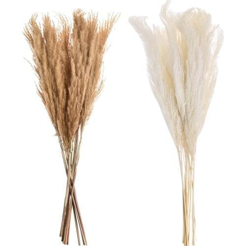 10PCS Natural Dried Whisk Reed Flower DIY Wedding Ornament Coffee Shop Home Tabletop Wall Decoration Floriculture Supplies