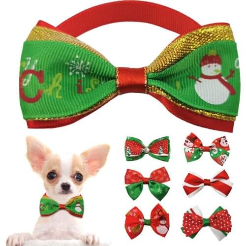 Holapet Dog Accessories