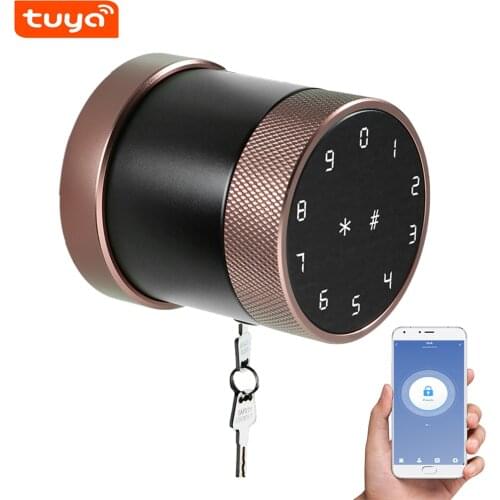 Smart Anti-theft Security Door Lock Electronic BT Lock APP Tuya Remote Control Password Code Number Card Lock