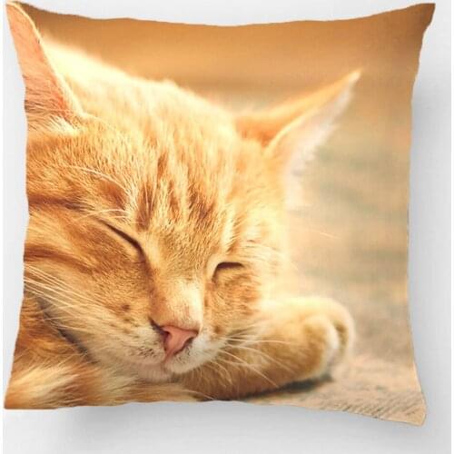 Sleeping Orange Tabby Cats Wedding Decorative Cushion Cover Pillow Case Customize Gift By Lvsure For Car Sofa Seat Pillowcase