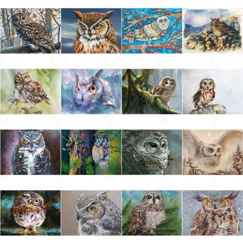 5D Diy Diamond Painting Animal Owl Simple Artist Home Decoration Square Diamond Round Diamond Cross Stitch Kit Rhinestone