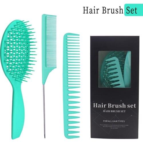 Hot Sale Detangling Hair Brush Hair Comb Set Head Massage Brush For Curly Hair Barber Accessories Hair Care Styling Tools