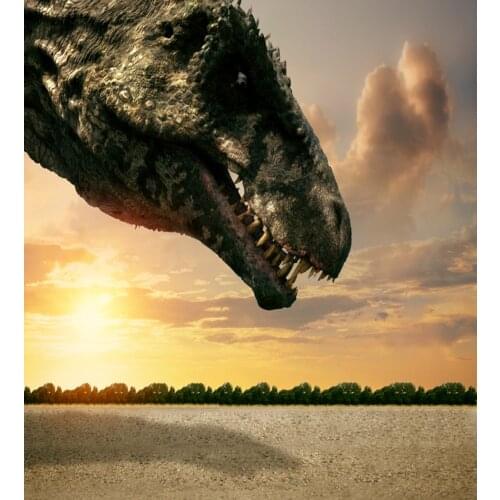 VinylBDS Photography Backdrops Vintage Jurassic World For Children White Cloud Studio Backdrop Dinosaur