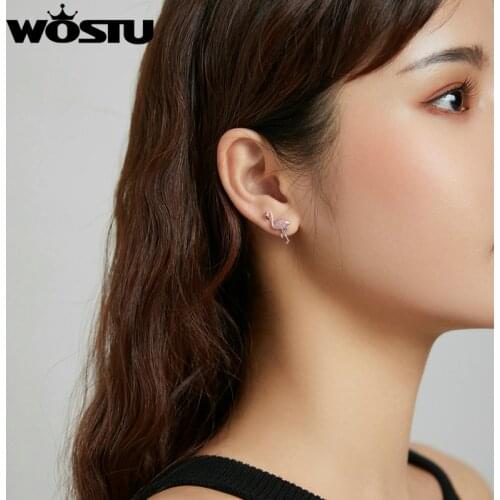 Wostu Stud Earrings 925 Sterling Silver For Women Flamingo & Leaf Earring 5A Clear Cubic Zirconia Festival Fine Jewelry BKE1124