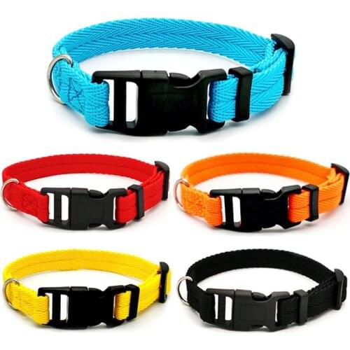 Pet Collar Small and Medium-sized Dog Collar Fashion Buckle Nylon Webbing Dog Collar Chihuahua Dog Pet Accessories
