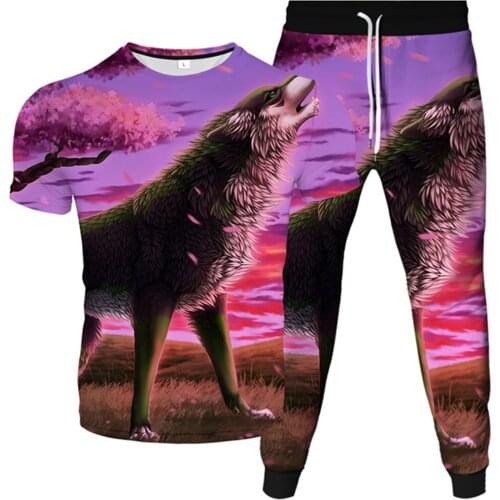 Harajuku Galaxy Animal Paint Wolf Print Men Sportwear Clothes Suit Women T-Shirt+Trousers 2Pcs Sets Fashion Tracksuit Plus Size