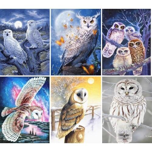 Full Square Drill Diamond Embroidery Owl Animals Mosaic Picture of Rhinestones Decor Gift DIY 5D Diamond Painting Cross Stitch
