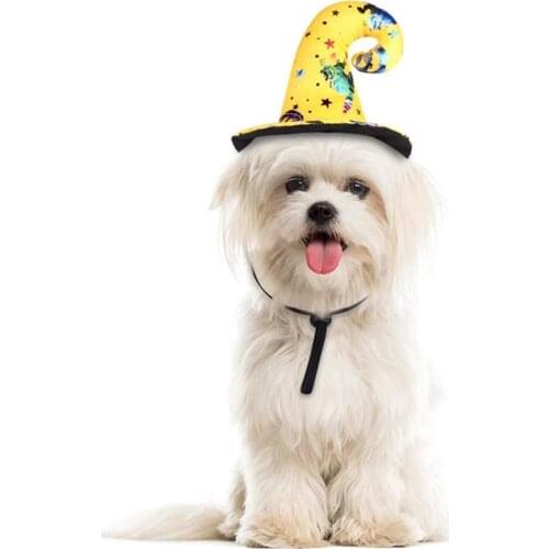 NACOCO Dog Halloween Witch Hat Wizard Headwear Dog Skull Hat Halloween Costume Accessory for Small Medium Cats and Dogs