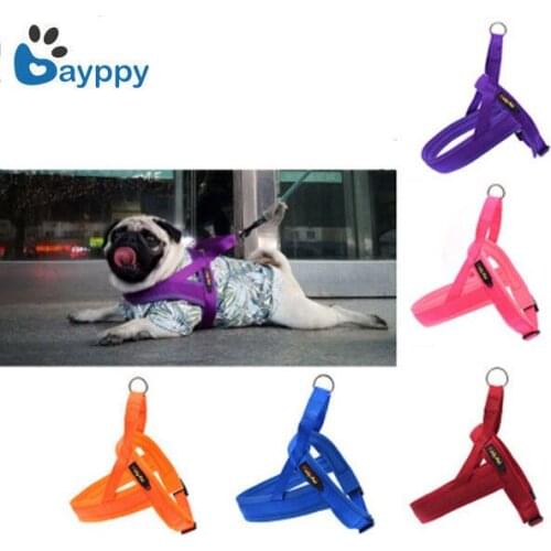 No-Pull Small Nylon Dog Harness Cat Pet Harness Set Chihuahua Bulldog Durable Pet Dog Accessories Dog Lead Pet Shop Supplies