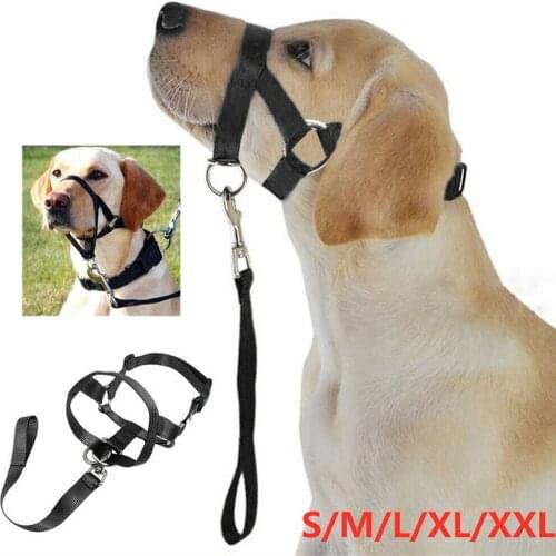 Dogalter Dog Training Head Collar, Halter Neck Nylon Harness, Novelty