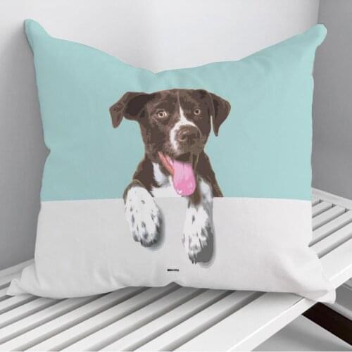 Anglo Francais Tricolored Throw Pillows Cushion Cover On Sofa Home Decor 45*45cm 40*40cm Gift Pillowcase Cojines Dropshipping