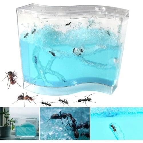 New Blue Gel Ant Farm AntWorks Ant Home AntWorkshop Educational Toy AN88
