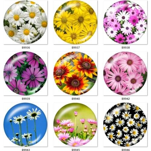 Daisy Sunflower beautiful 10pcs mixed 12mm/18mm/20mm/25mm Round photo glass cabochon demo flat back Making findings B9925
