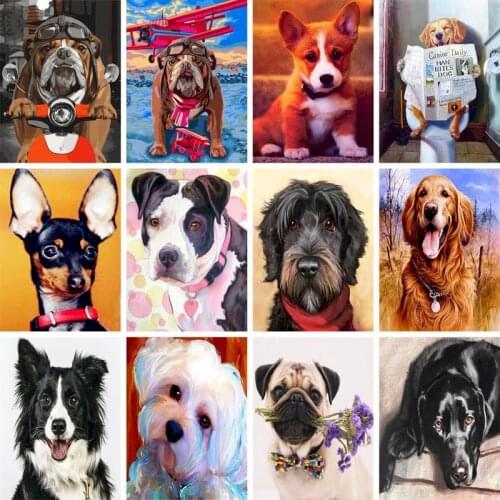 GATYZTORY Painting by numbers Animal dog paint by number Paintings on the wall Pictures for the home