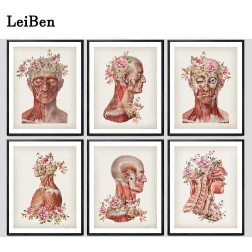 Floral Skeletal Bones Anatomy Poster Skull Ear Medical Wall Art Print Canvas Painting Abstract Picture Clinic Home Decoration