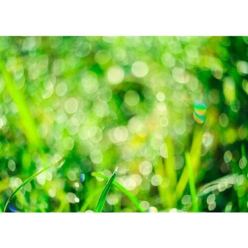 Grass Flare Bokeh Photo Backgrounds Computer Printed Photophone Backdrop for Children Baby Shower Photoshoot Photography Props