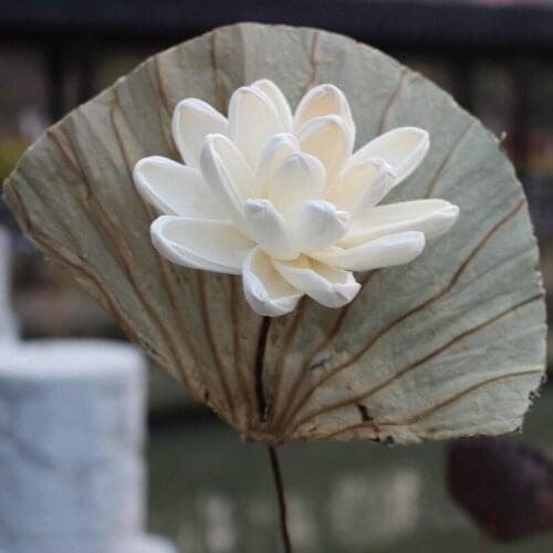 1pcs Natural Material Lotus Leaf Flower Branch Plant Dried Flowers Party Decorations Farmhouse Decor Fall Decorations for Home