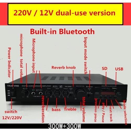 AV-298BT 220V/12V Dual use 300W+300W home audio KARAOKE digital amplifier with USB SD card Play built-in Bluetooth Mic FM input