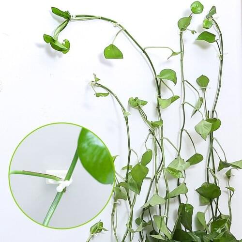 50Pcs Invisible Wall Rattan Clamp Clip Wall Vine Climbing Fixture Sticky Plant Cages Plant Supports Self-Adhesive Hook Holder