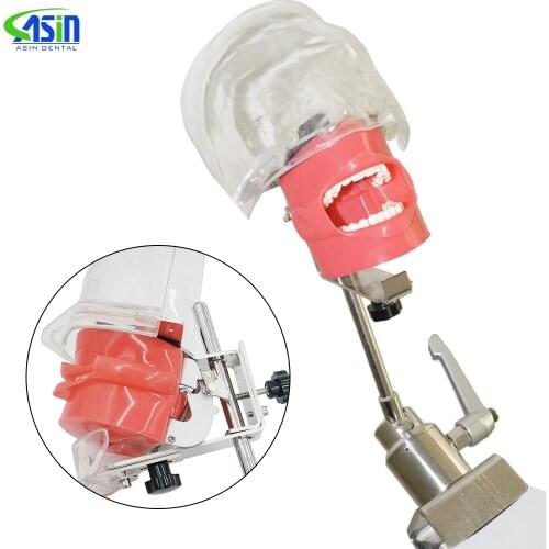 Dental Simulator Manikin Phantom With New Style Bench Mount Dental Chair Dentistry Root Canal Teaching Tools Kit