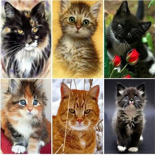 5D Diamond Painting Cute Cat Full Square Diamond Embroidery Animals Reflection Pictures of Rhinestones Mosaic Home Decor Gift