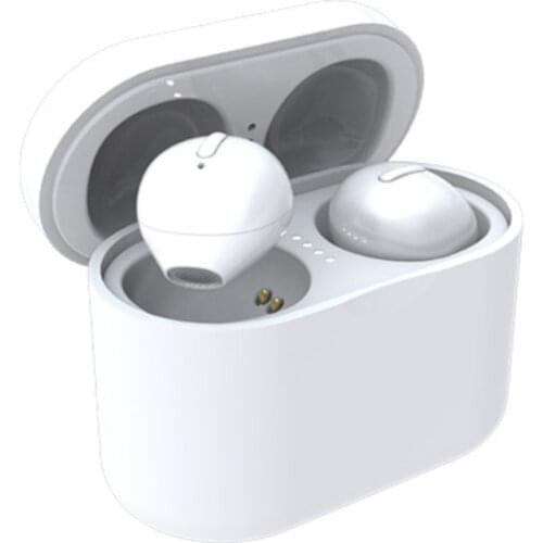 Mini True Wireless Earbuds Dual Hi-Fi Stereo Bluetooth 5.0 Invisible Earphones with Portable Charger, Built-in HD Mic