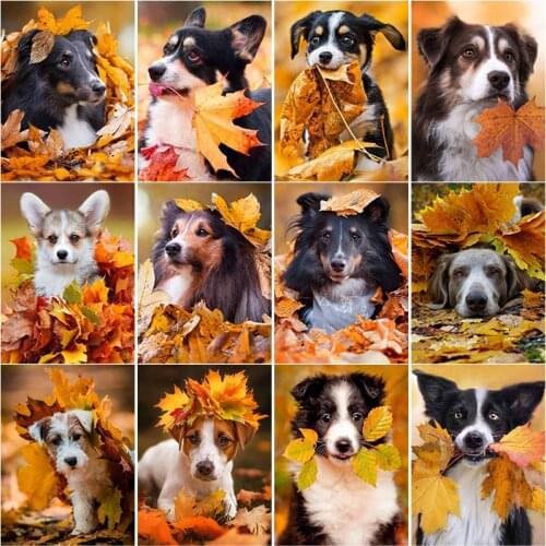 5D DIY Diamond Painting Full Square Round Drill Autumn Leaves Dog Diamond Embroidery Animal Cross Stitch Home Decor Manual Gift