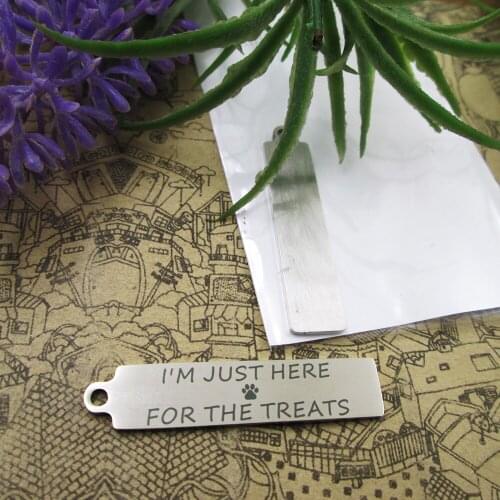 20pcs--"I'm just here for the treats"stainless steel charms DIY Charms for necklace bracelets