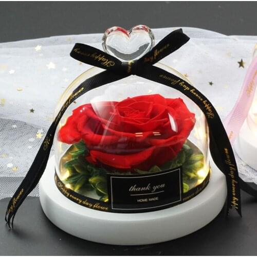 2020 Beauty And The Beast Dried Flower Rose In Glass Dome Eternal Rose LED Light Mothers Day Birthday Valentines Day Gift