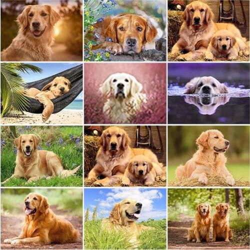 DIY 5D Diamond Painting Golden Retriever Dog Diamond Embroidery Cross Stitch Kits Animal Mosaic Full Round Rhinestone Home Decor