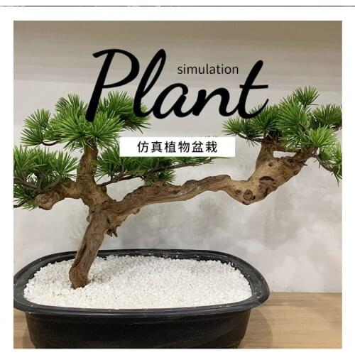 New Chinese Style Simulation Visitor Bonsai Furnishing Articles Porch Ark Hotel Landscape Home Decor Wood Crafts Desk faux vines