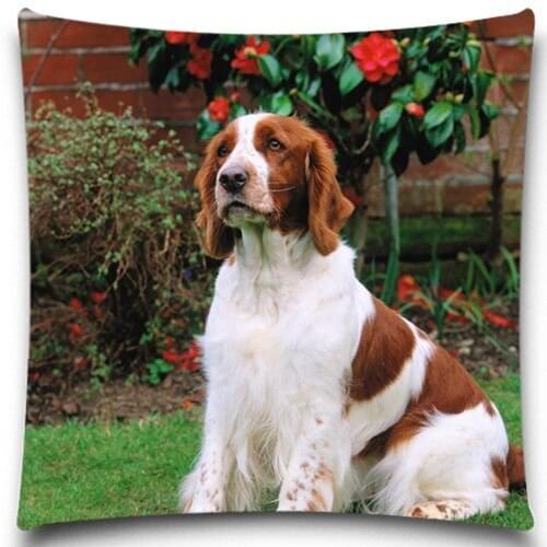 A dog on the grass Square Pillow Cases Cotton Polyester 5 size 9 style Excellent Quality Soft Cushion Covers