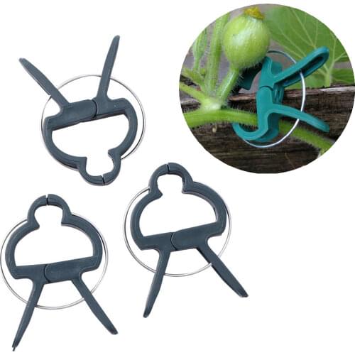 Gardening Clip Flower fixed Plant Garden Clip Hanging Vine Plant Grafting Clip Plant Flower Seedling Stem Support Clip 10 Pcs