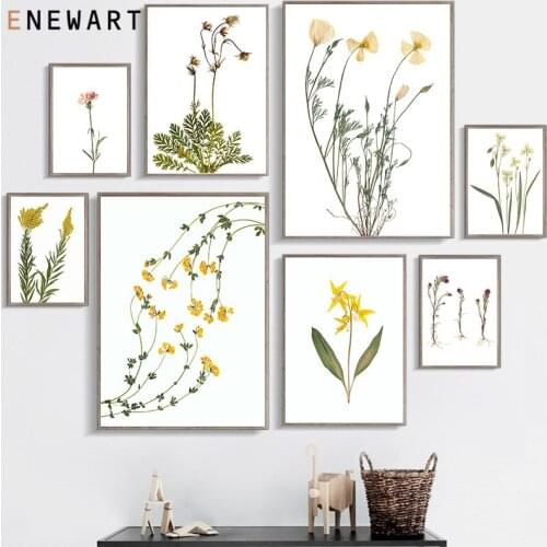 Botanical Bloom Canvas Painting Carnation Lavender Flower Poster Nordic Wall Art Print Scandinavian Picture for Living Room