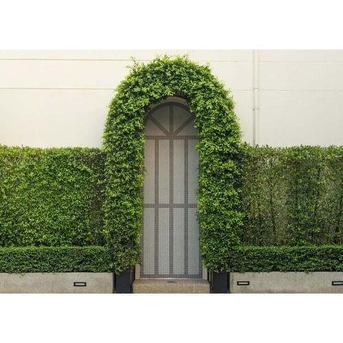 Photo Background Arch Door Plant Wall Vinyl Cloth Photocall Backdrop Photography Props for Children Baby Portrait Photobooth